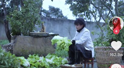 分镜头脚本简单版,知识分享分镜头脚本