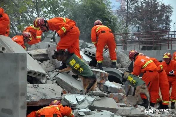 八一建军节演奏大全,八一建军节诗十首