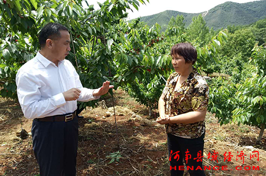 内乡红色教育基地有哪些,内乡县发展绿色经济实现生态富民