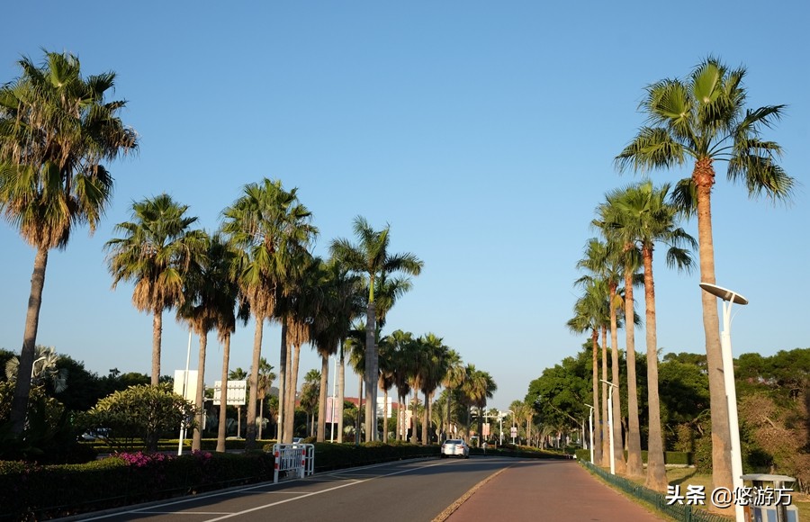 厦门海悦山庄酒店平面图,厦门海悦山庄旅游详解