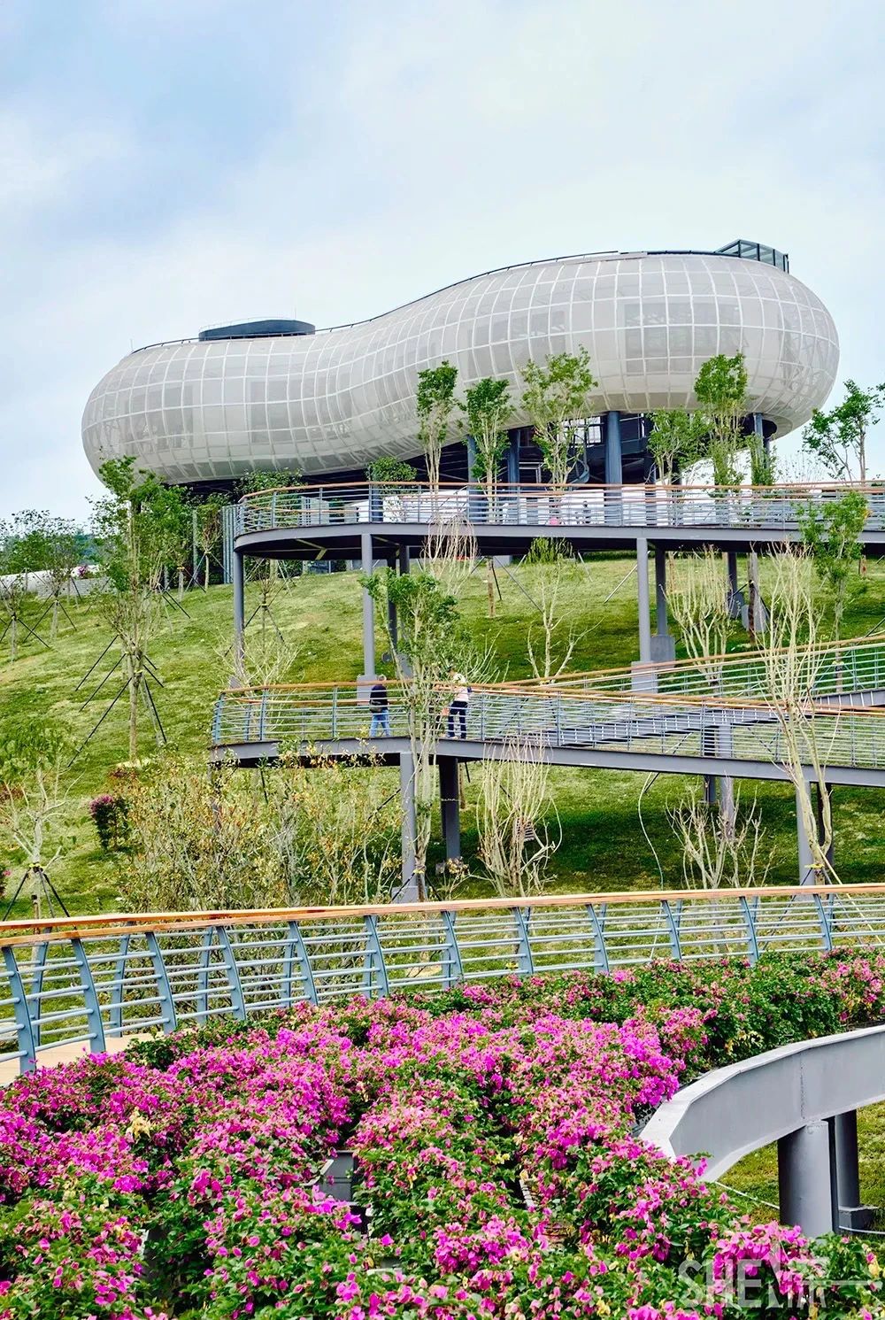 坐一趟4号线，打卡深圳19个热门游玩地！