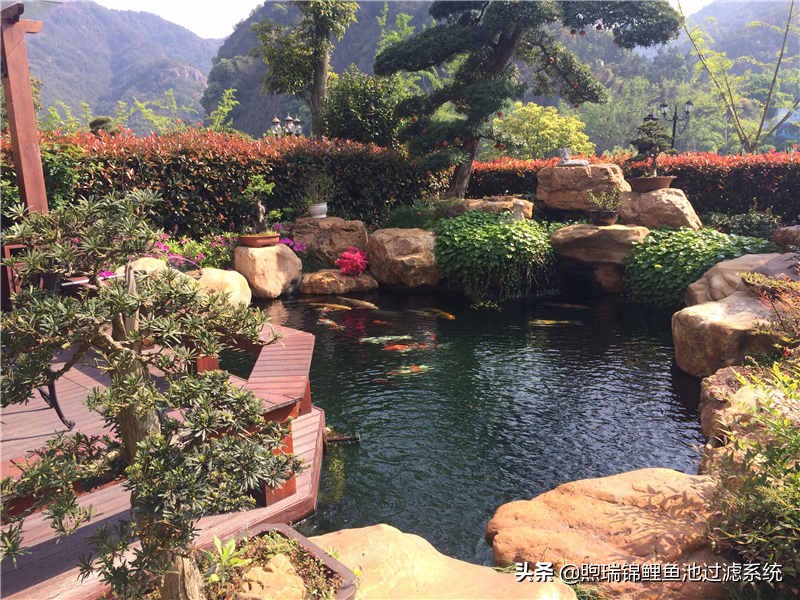 一个强大的过滤系统,一个过滤系统带多个鱼缸