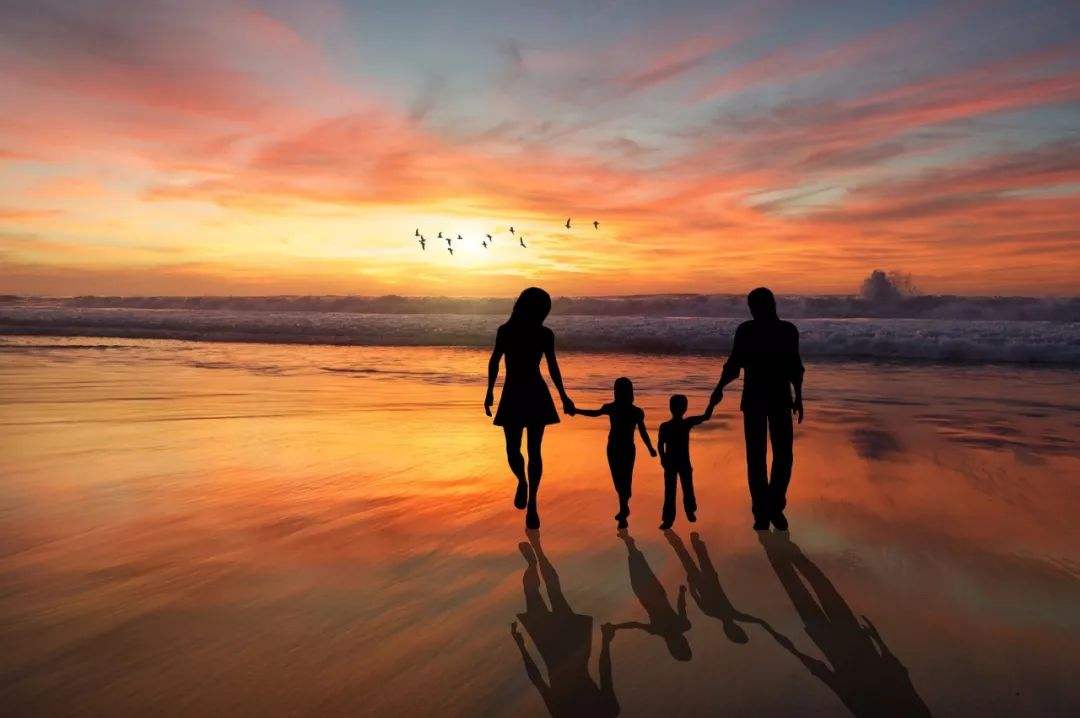 疫情期间适合父母看的电视剧,疫情期间看爸妈