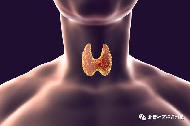 东直门医院甲状腺医生,东直门中医院通州东院甲状腺专家