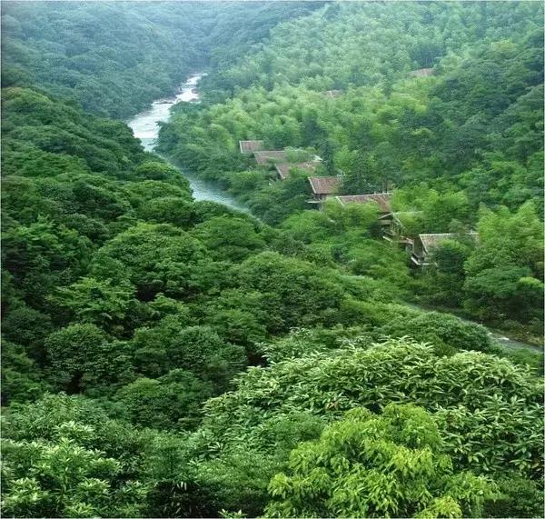 惠州龙门景区,中国天然氧吧惠州龙门