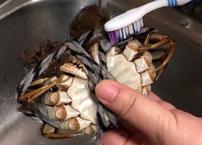 蒸大闸蟹要取掉绳子嘛,蒸大闸蟹开了盖还能继续加水蒸吗