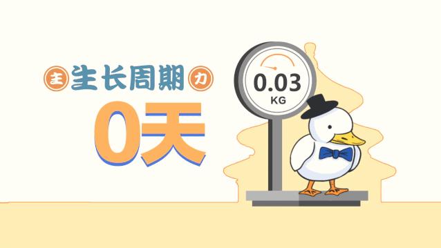 街边售卖的18元烤鸭,街边18元一只烤鸭哪个部位不能吃