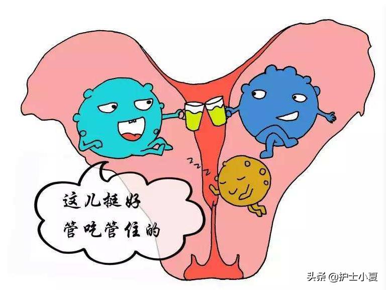 一个月内药物流产的个人感受,药物流产的详细说明