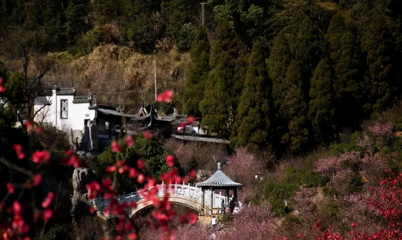 梅岭太阳谷就是大峡谷吗,梅岭太阳谷风景区丛林穿越