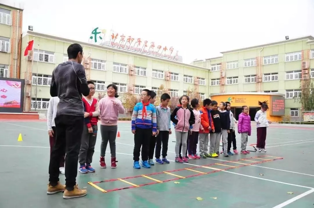 斑马少儿全方位能力成长平台,斑马少儿体能训练