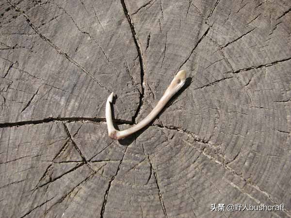 野外diy鱼钩,在野外制作鱼钩