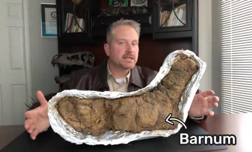 乐高闯破过什么世界纪录,世界上最快拼乐高的纪录