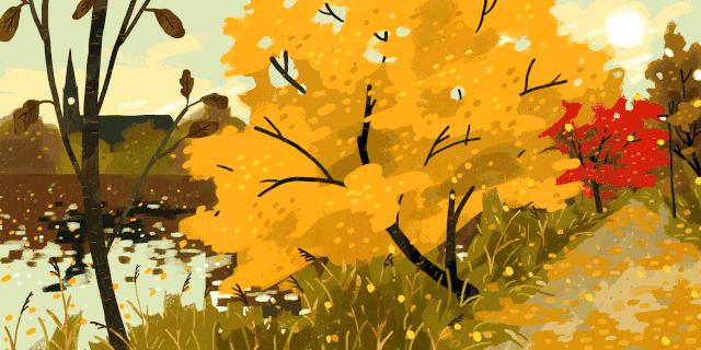 深圳周边一日游温泉,不用去日本就能看到的海