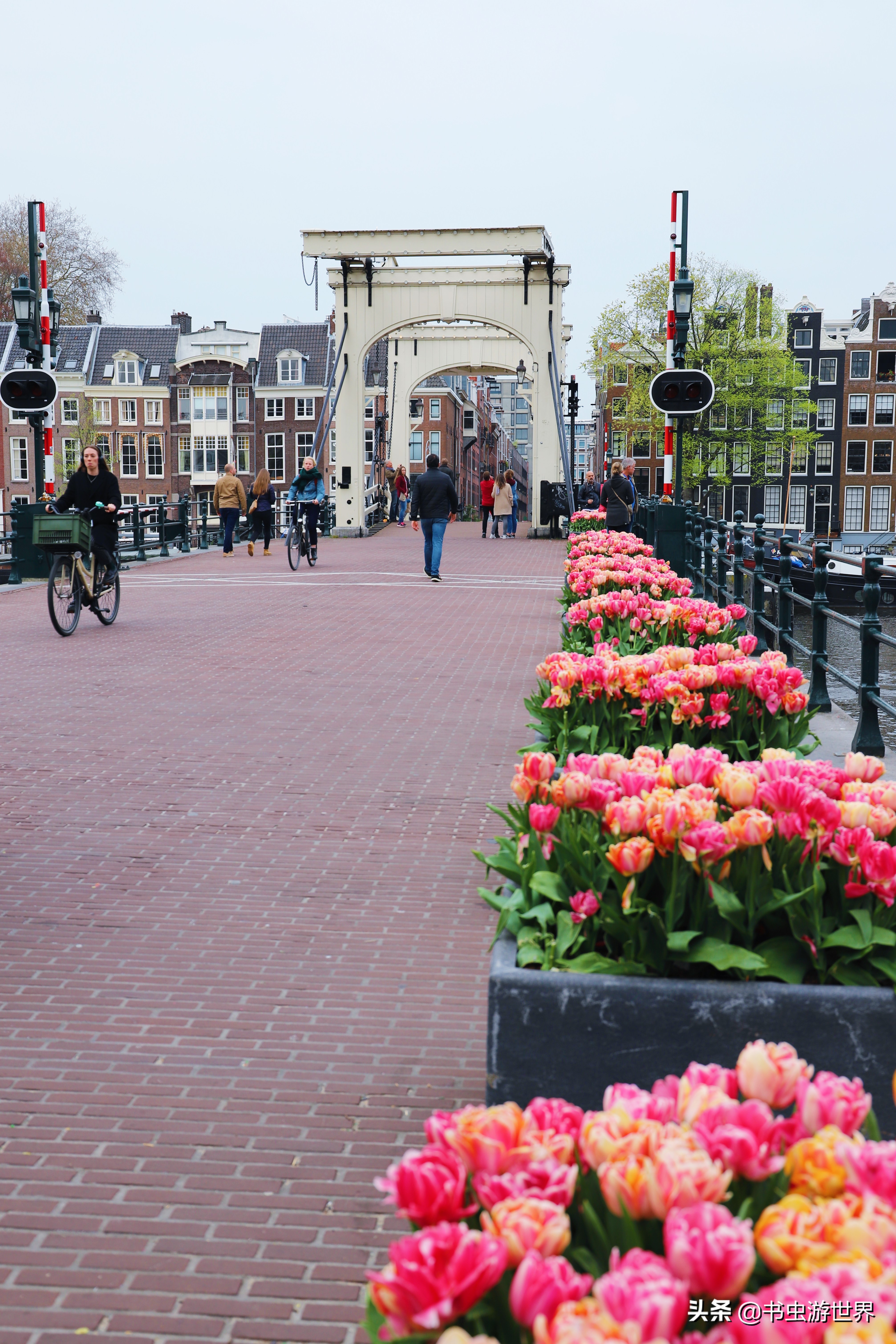 阿城寻宝,阿城摄影景点