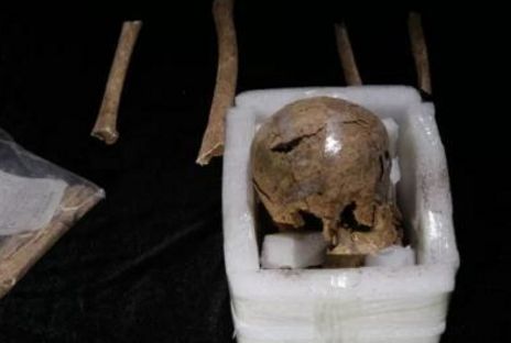 秦始皇帝陵陪葬墓新发现,秦始皇帝陵新发现将军俑