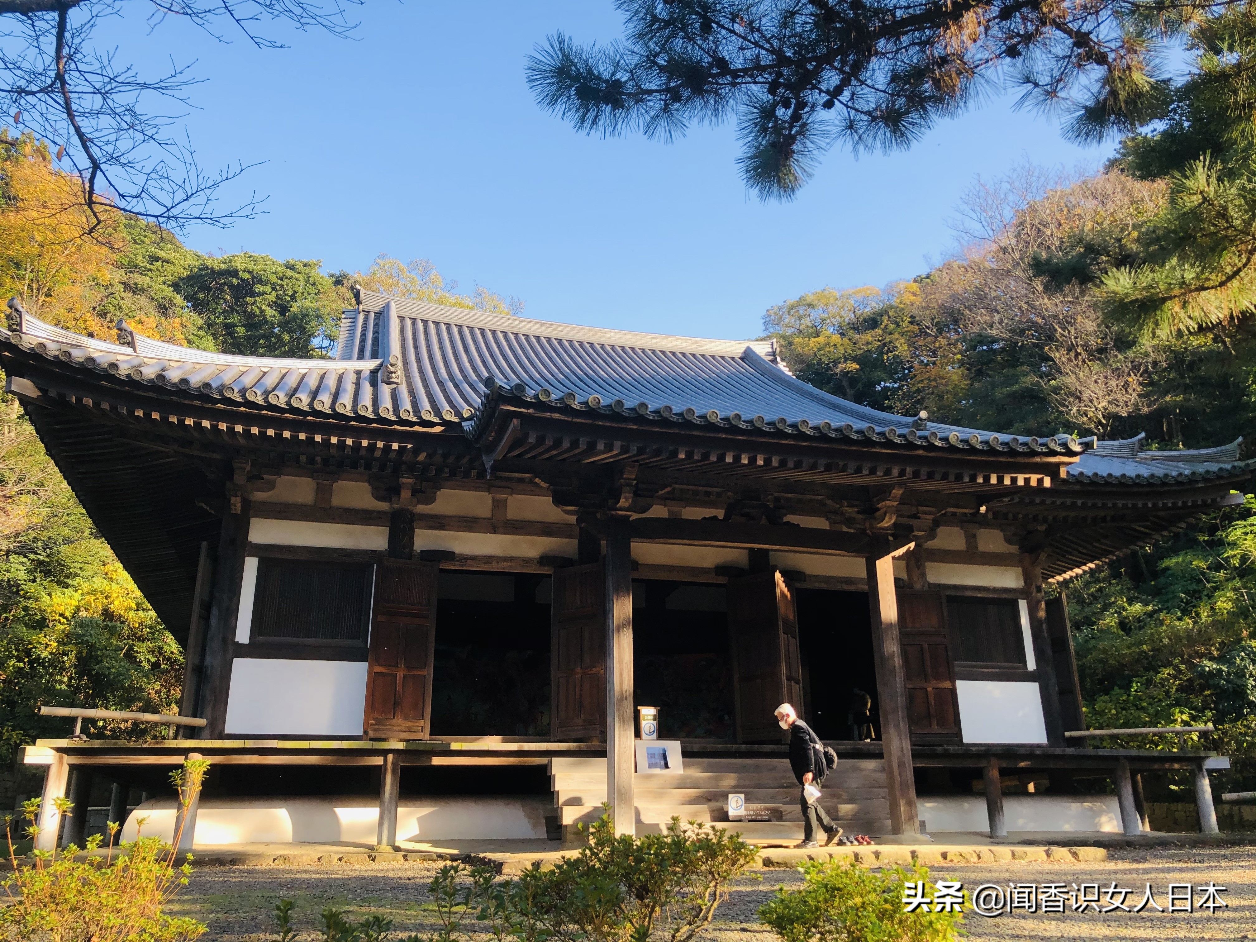 横滨三溪园,横滨三溪园介绍