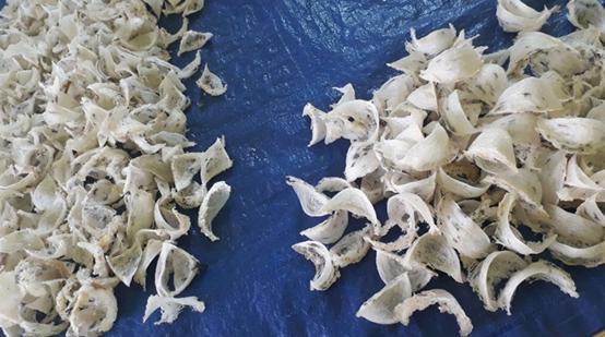 疏盏燕窝知识及鉴别,品牌干燕窝知识