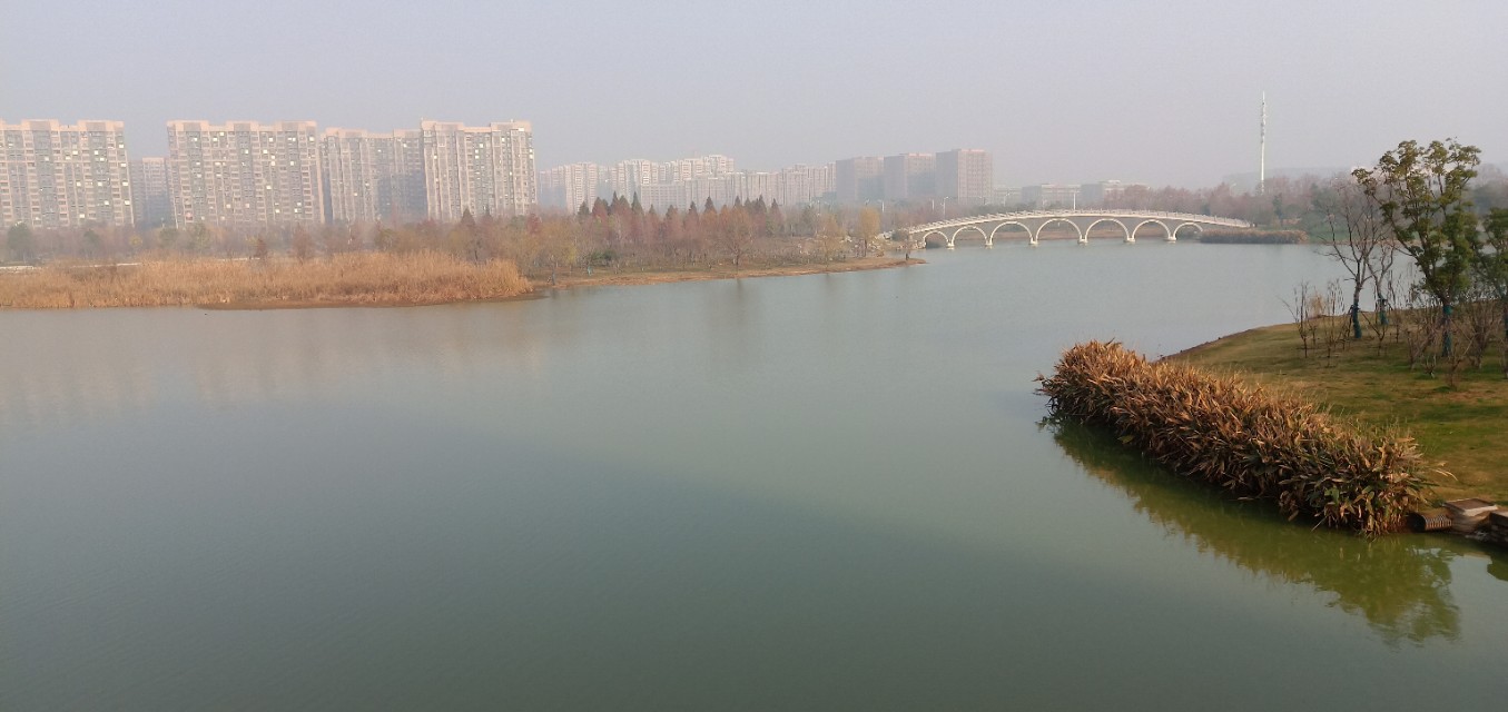 仙林湖游玩,南京仙林湖游玩攻略