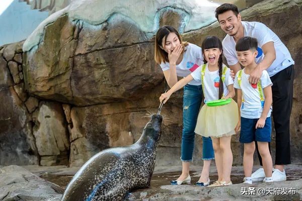 世警会游玩视频,世警会时间安排表