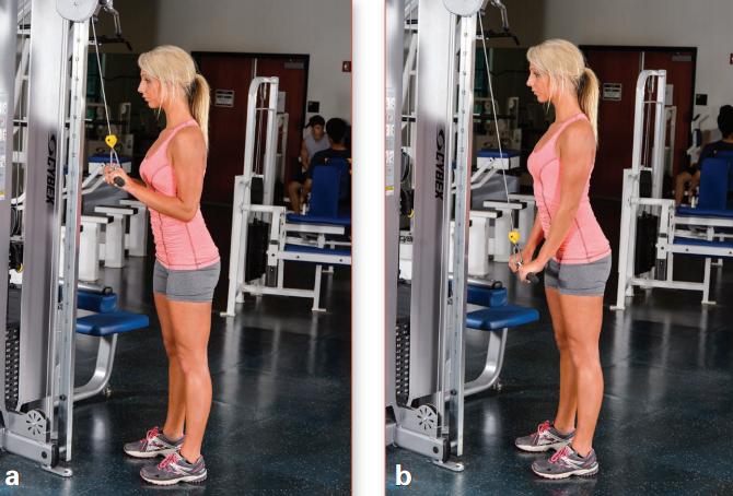 力量训练一周6练训练计划,一天练三个部位的力量训练