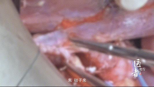 医者难自医的心理原因,医者医人难自救