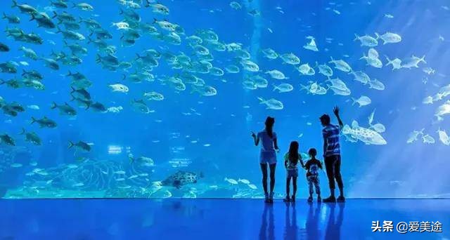 珠海长隆旅游公寓,珠海横琴长隆旅游度假公寓门票