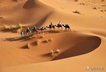 历史上的7月11日发生过什么大事,历史上的11月17日发生了什么事