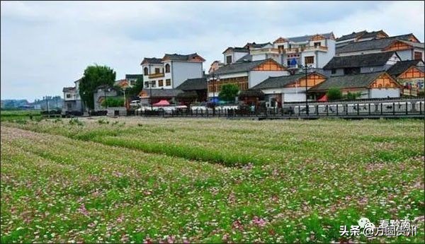 贵州清凉一日游,贵州黔南春季旅游攻略