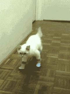 彪马拖鞋发黄怎么办,彪马拖鞋白色容易脏吗