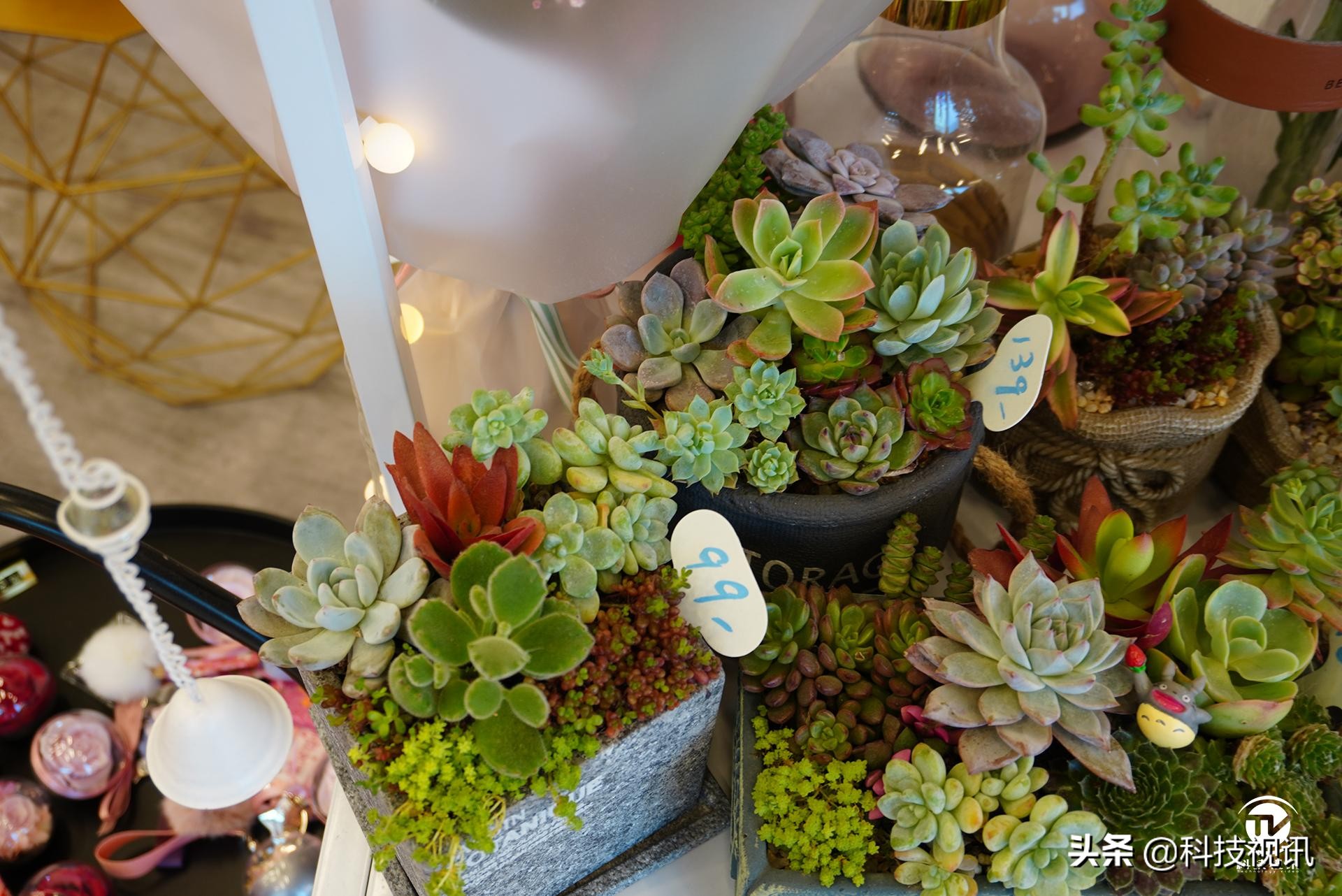 Vlog新生力量的诞生索尼A6400详测