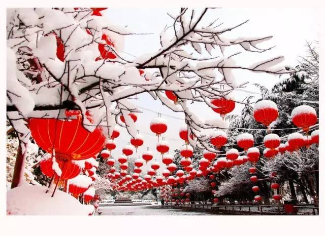 这才是中国的传统文化，每个国人都该看看