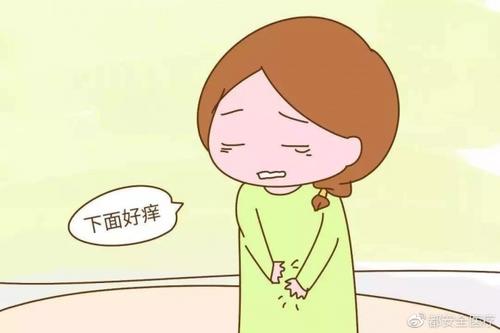 外阴瘙痒白带异常,白带异常吃什么药