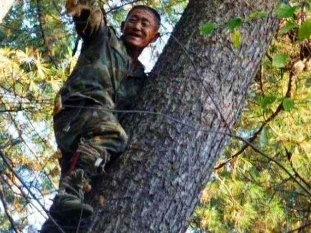 松树松子批发价多少钱一斤,今年白皮松子价格多少钱一斤