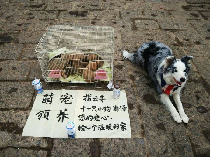 2000元本钱摆什么地摊最赚钱,做什么地摊生意可以稳定又赚钱