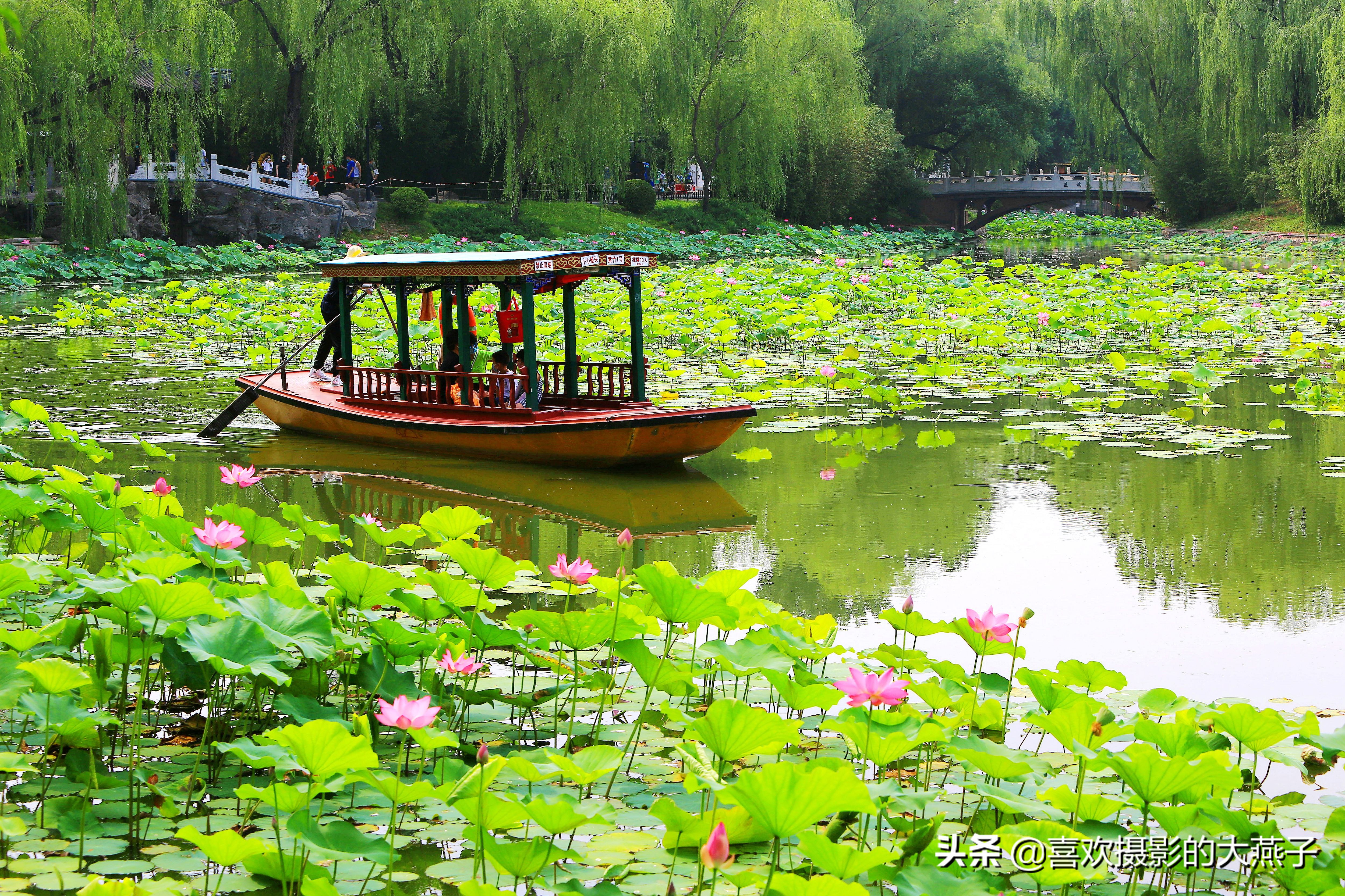 紫竹院京城景区,京城皇家御河紫竹院
