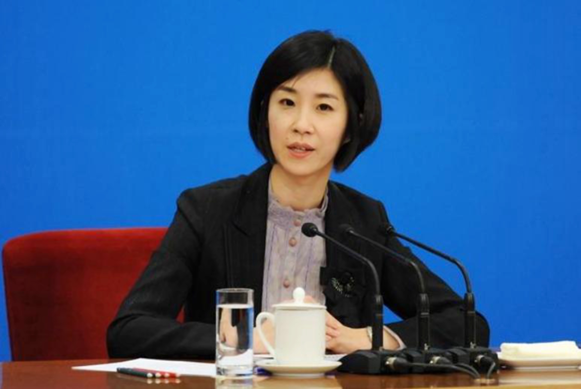 翻译女神张璐升职,外交部翻译女神张璐