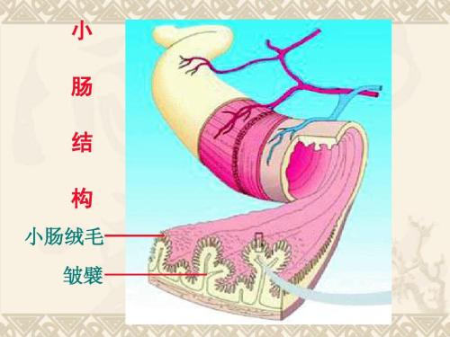 医生不会告诉你的男生的秘密,医生不会告诉你的秘密妇科