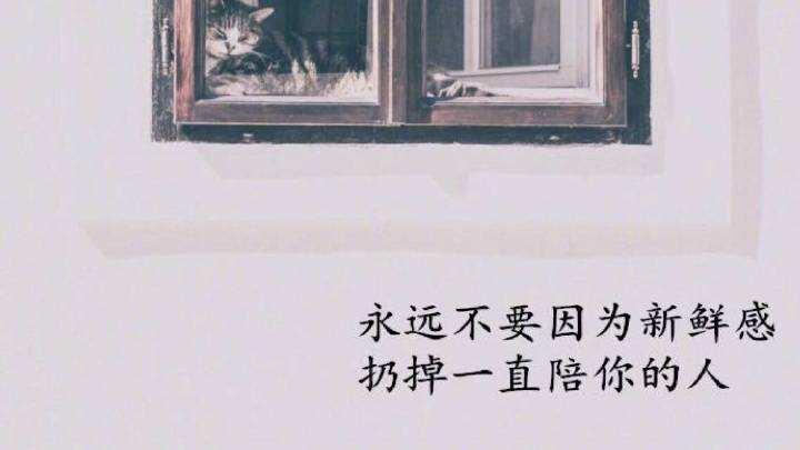 乃昔情感挽回率有多高,乃昔情感挽回靠谱吗