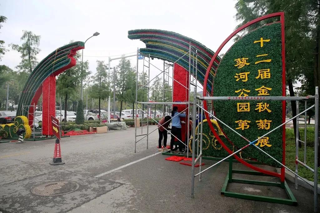 济宁蓼河公园郁金香,济宁洸府河公园花开了