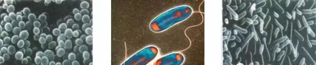 图文┃中央空调系统清洗攻略大全