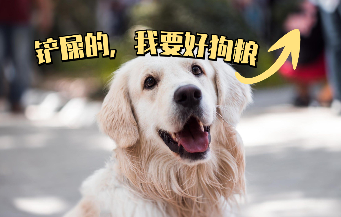 狗狗爱上你的5个表现,狗狗爱情表白暗语