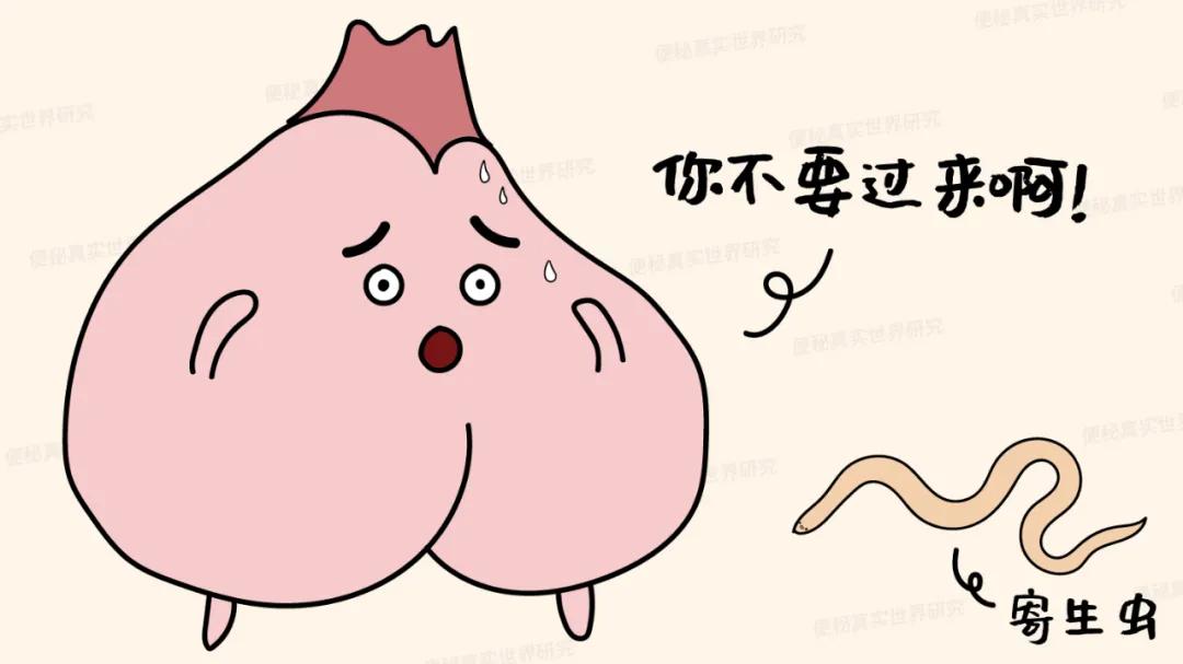 菊部瘙痒,菊部瘙痒是有虫吗