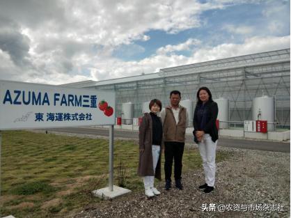 日本农业成功的主要经验,中国和日本农业差距50年