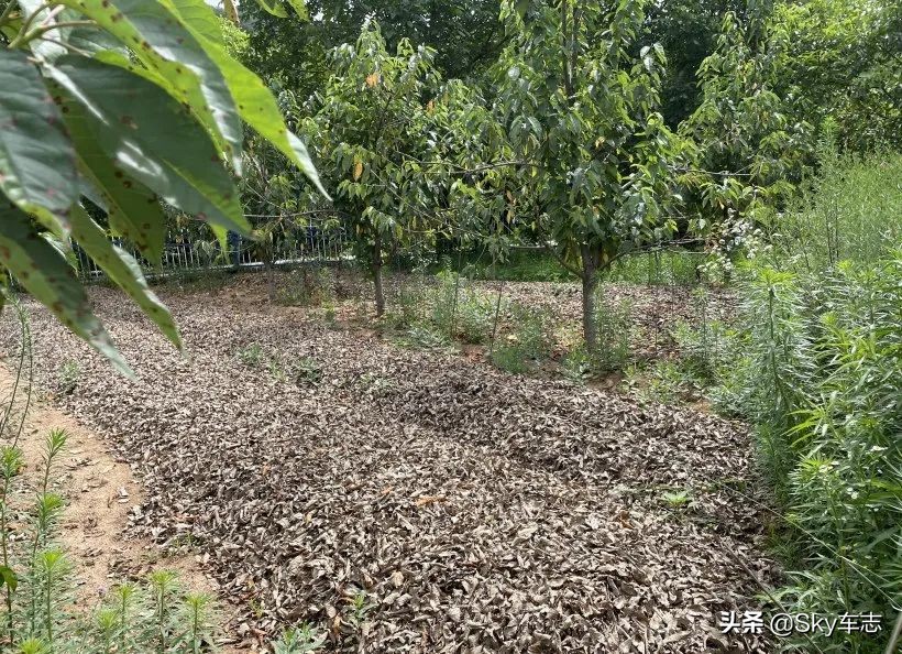 7天3000公里,宝马x57000公里发现烧机油