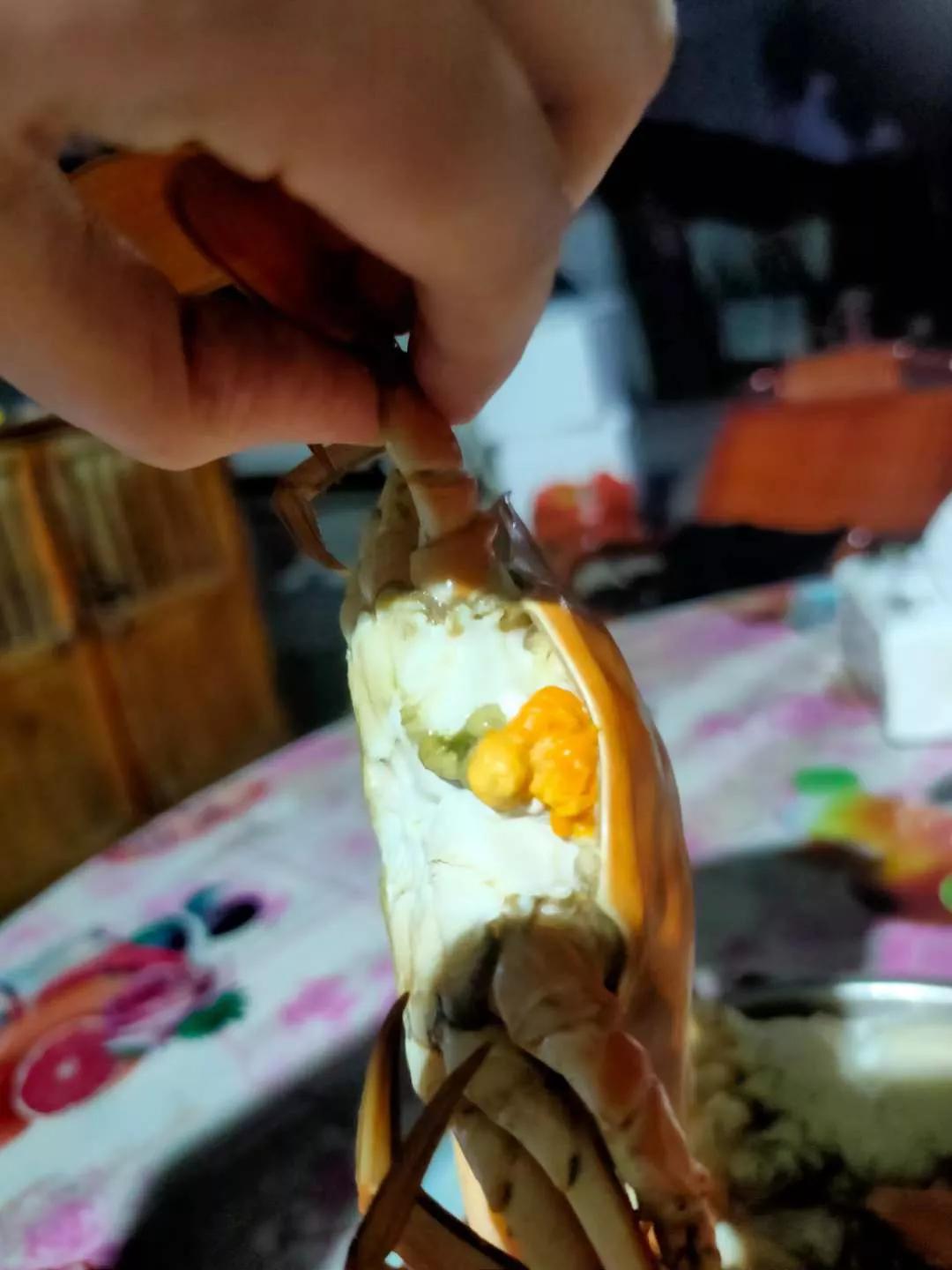 海南特产黄肉菠萝蜜怎么吃,大闸蟹菠萝蜜