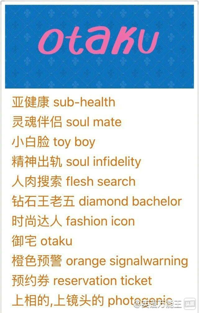 菜鸟、驴友、麦霸、代购、跳槽、型男、暴走、拼车热词英语怎么说