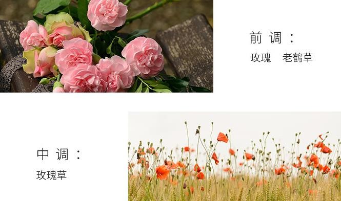 香水解决问题,香水深度解析