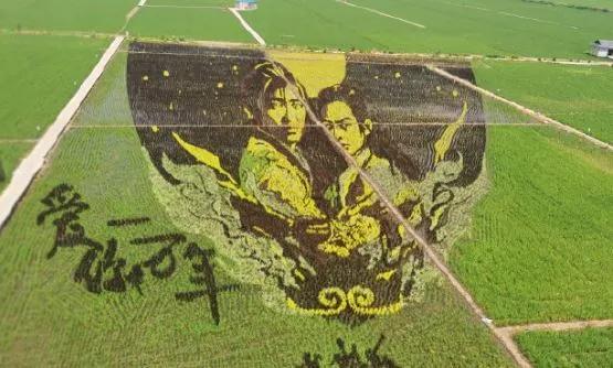 走向我们的小康生活非遗篇,走向我们的小康生活科普