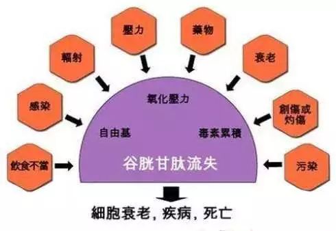 李佳琦直播间城野医生377美白精华,李佳琦推荐爆火的美白产品
