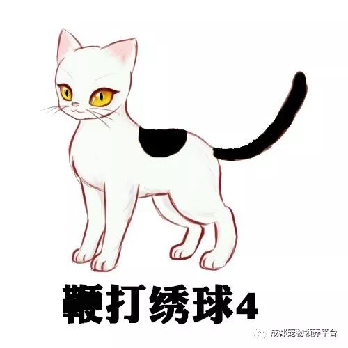 谁说土猫无名猫?快来围观古代猫谱,你家有没有镇宅神兽!